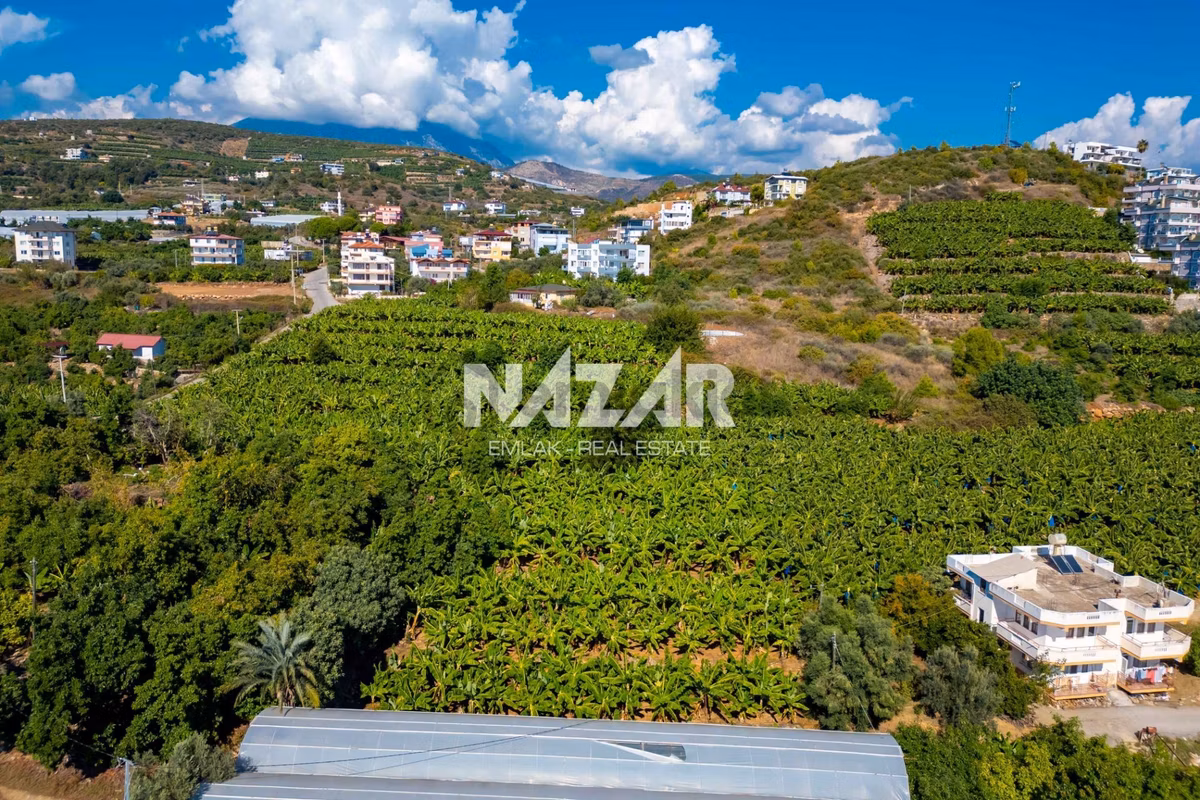 Alanya İshaklı’da 1.665 M2 Deniz Manzaralı Tarla - 16