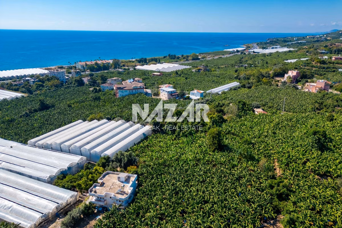 Alanya İshaklı’da 1.665 M2 Deniz Manzaralı Tarla - 11