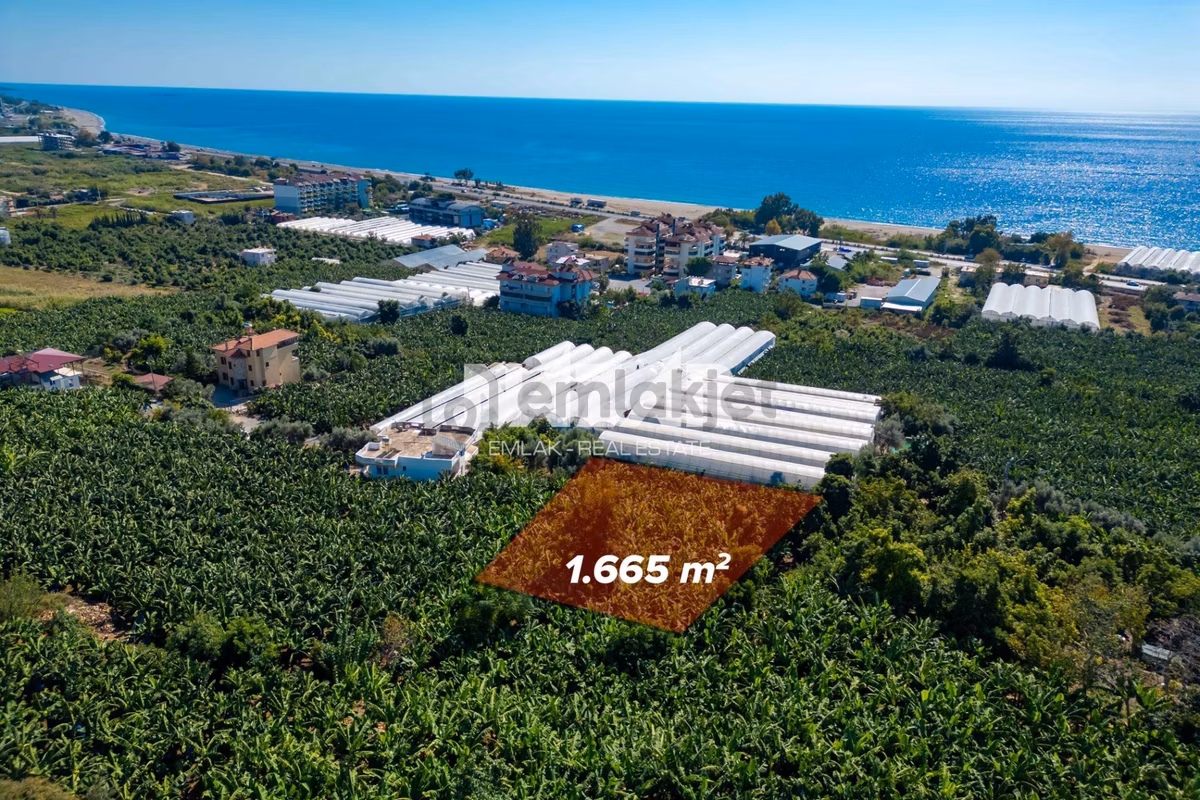 Alanya İshaklı’da 1.665 M2 Deniz Manzaralı Tarla - 4