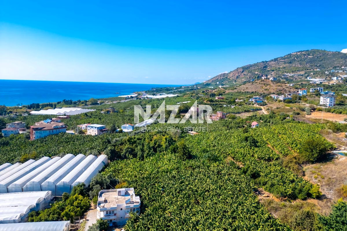 Alanya İshaklı’da 1.665 M2 Deniz Manzaralı Tarla - 19