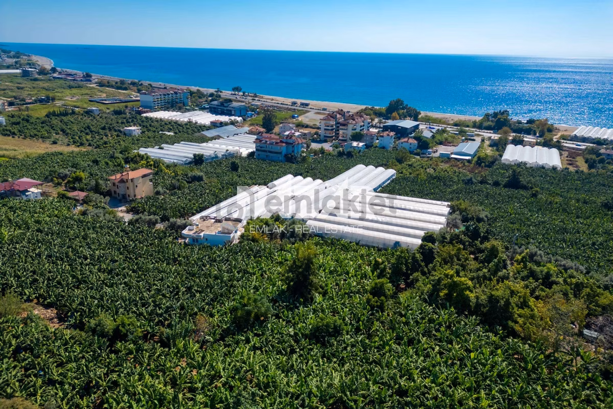 Alanya İshaklı’da 1.665 M2 Deniz Manzaralı Tarla - 12