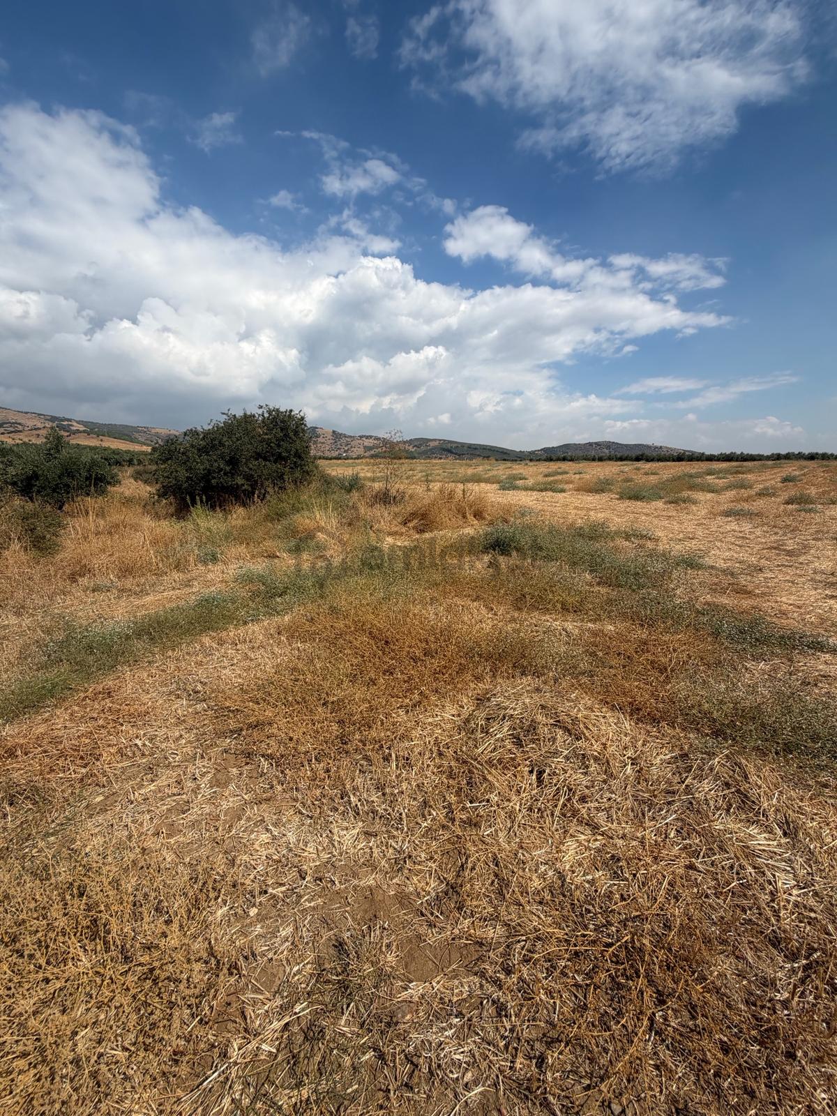 Tire Doyranlı'da Satılık 3276 M² Doğa Manzaralı Tarla - 14
