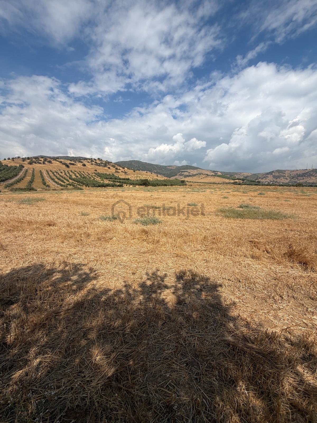 Tire Doyranlı'da Satılık 3276 M² Doğa Manzaralı Tarla - 16