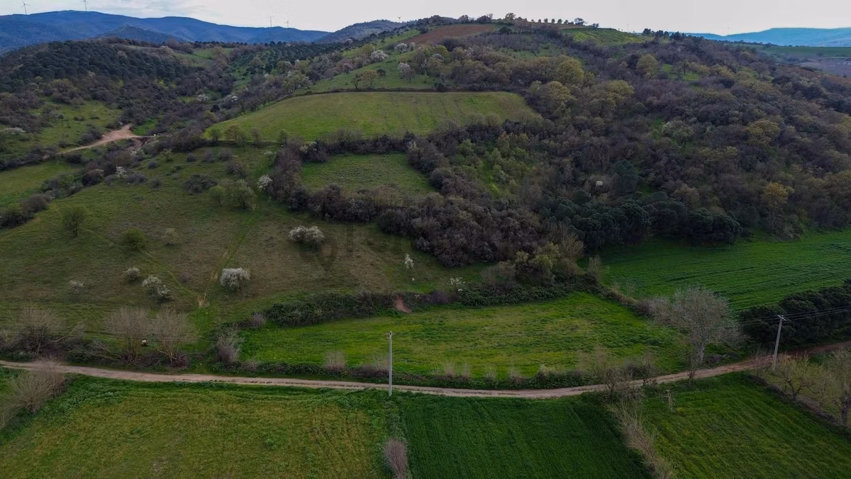 Norm' Dan Yıldız Mahallesinde 2.874 M² Satılık Tarla - 16