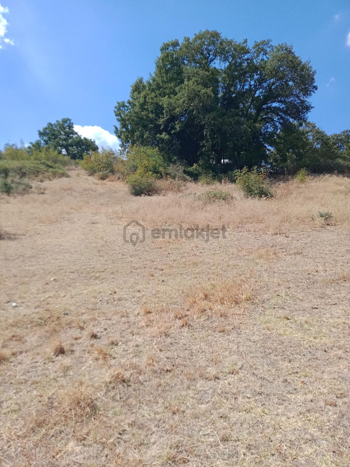 Sahibinden Arsa Bağ Bahçe İmarlı - 2