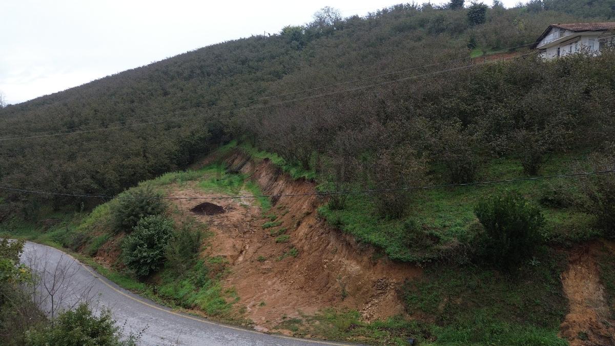 Emlak Evim - Sakarya Dereköy De 2.215 M2 Arsa - 4