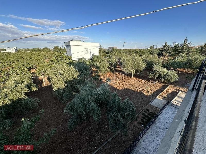 Acil Emlak'tan Gölpınar'da Bağ Evi - 24