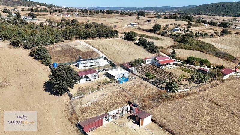 Mecidiye Sahil De 531 M2 Satılık - 8
