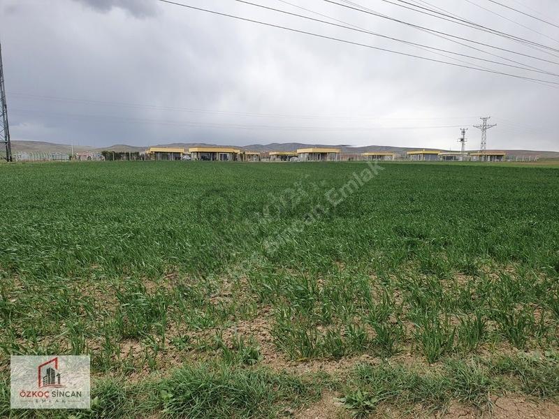 Sincan Temelli Hürriyet'te İmar Plan İçerisinde 2700 M2 Kök Tapu - 4