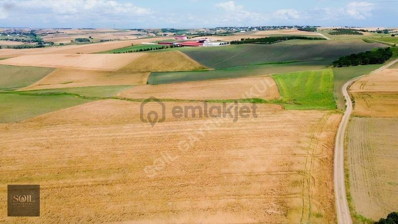 Marmara Ereğlisi Çeşmeli Denize 700 M Mesafede 302 M Arsa - 9