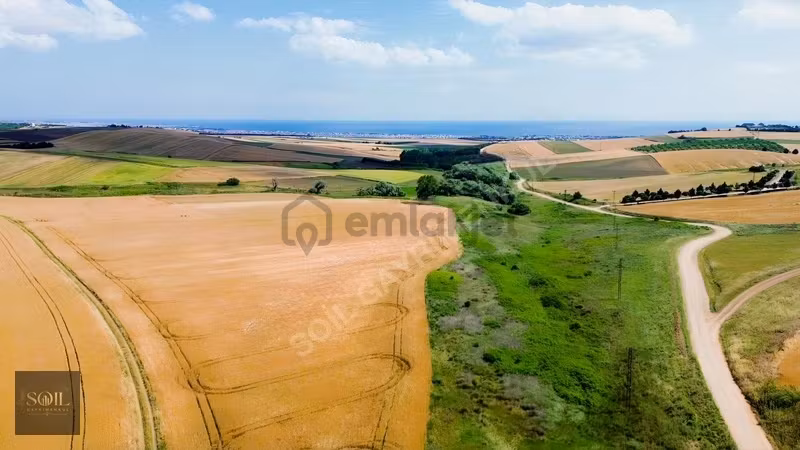 Tekirdağ Marmaraereğlisi Denize 700m Mesafede 1238m Arsa - 7