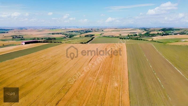 Tekirdağ Marmaraereğlisi Denize 700m Mesafede 1238m Arsa - 2