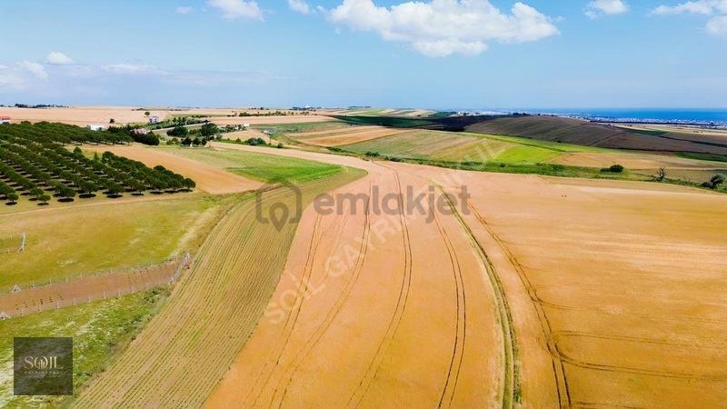 Tekirdağ Marmaraereğlisi Denize 700m Mesafede 1238m Arsa - 4