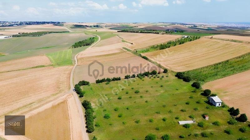 Tekirdağ Marmaraereğlisi Denize 700m Mesafede 1238m Arsa - 31