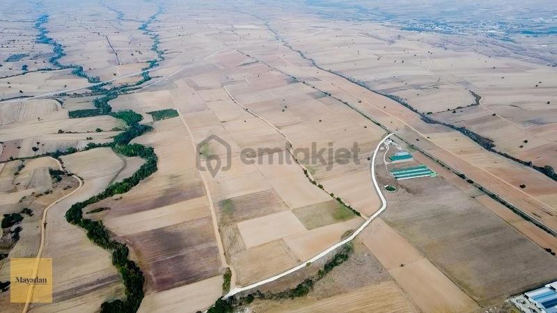 Mayadan Satılık 138 Dönüm Büyükbaş Çiftlik - 6