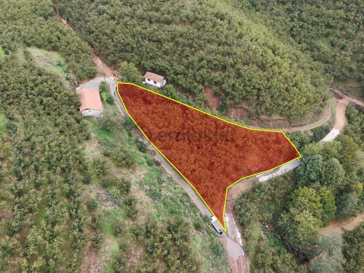Emlakevim - Hendek Dereköy Mah. De Satılık 1222 M2 Arsa !!! - 9