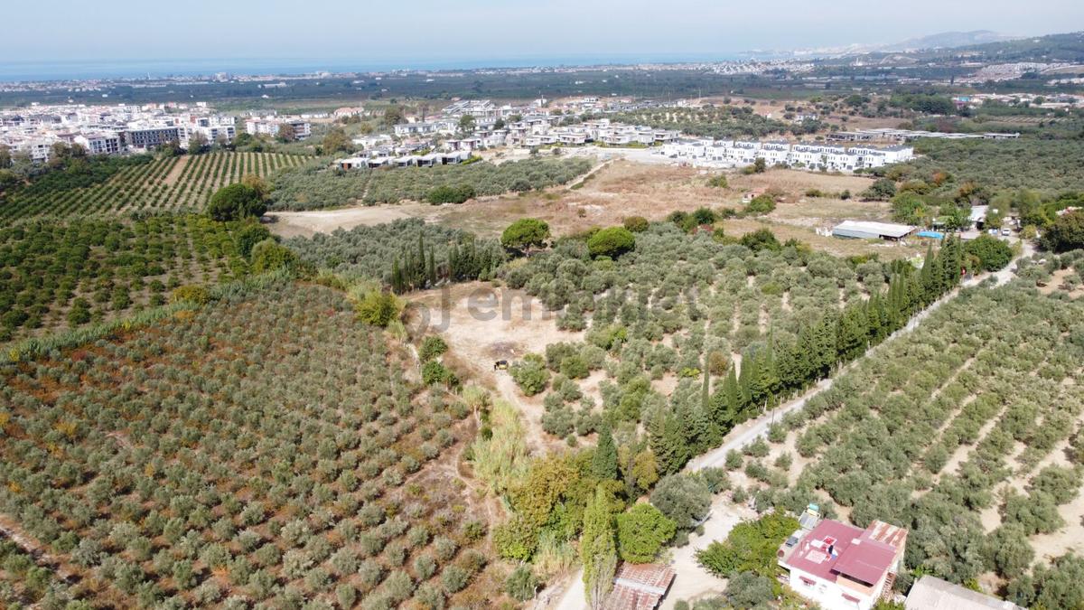 Denize 50 Metre Mesafede Termal Turizm İmarlı Arsa - 6