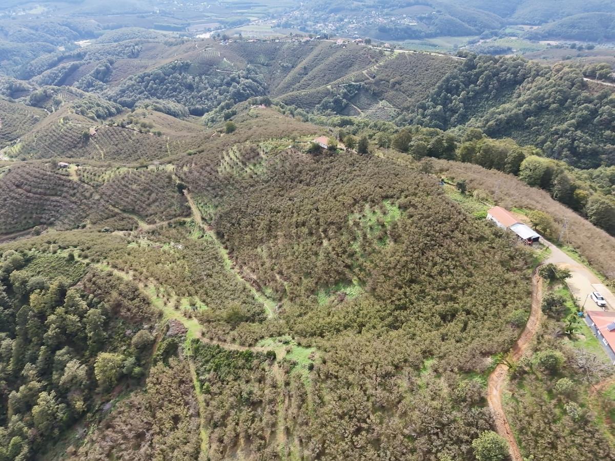 Emlakevim - Hendek Dereköyde 7500 M2 Arsa İçinde Müstakil Ev - 16
