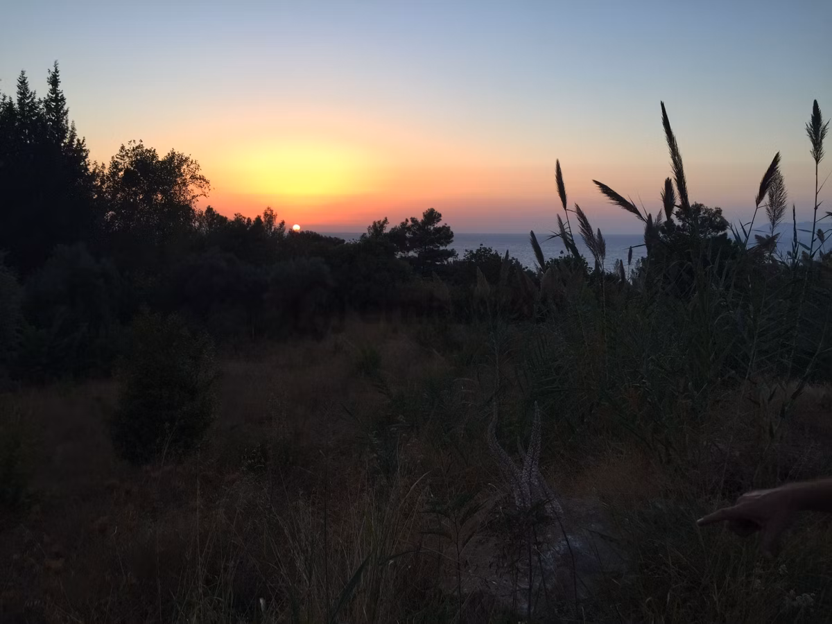 Fethiye Faralyada Turizm Bölgesinde Satılık Arsa 2005 M2