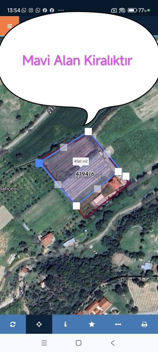 Urla Rüstem Mh Kiralık Arazi
