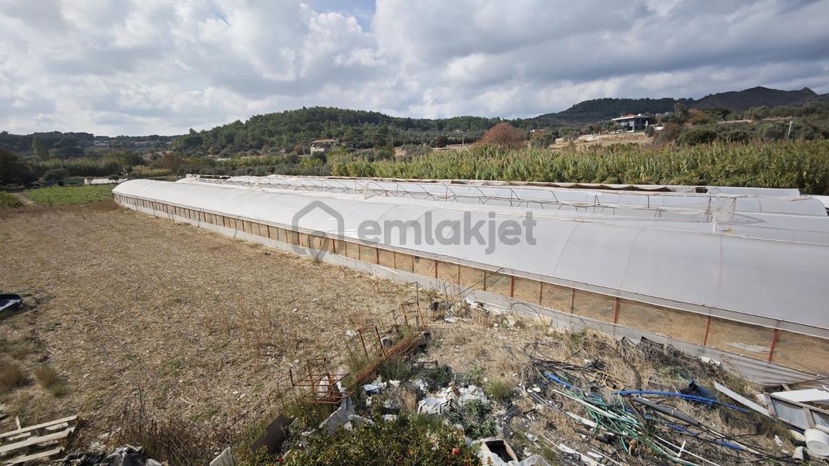 Urla Rüstem Mh Kiralık Arazi - 8