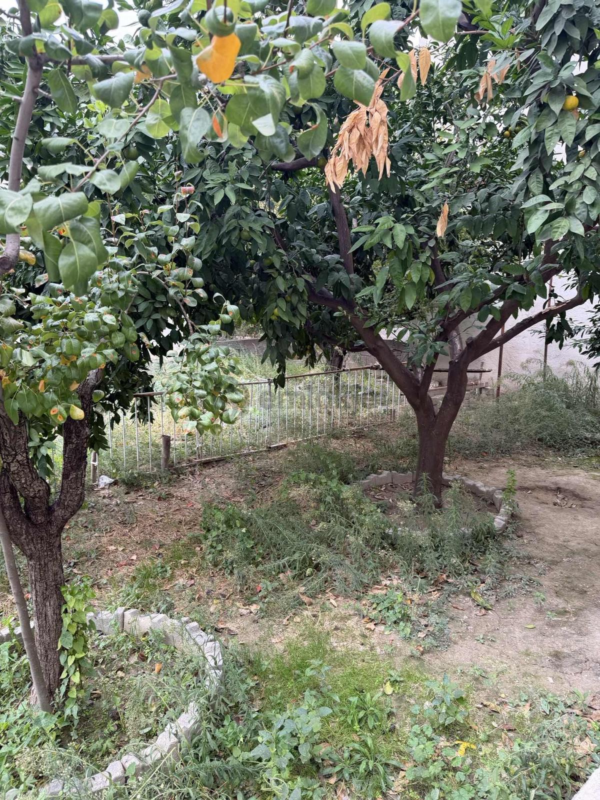 Muhtarım Emlaktan Müstakil Daire - 8