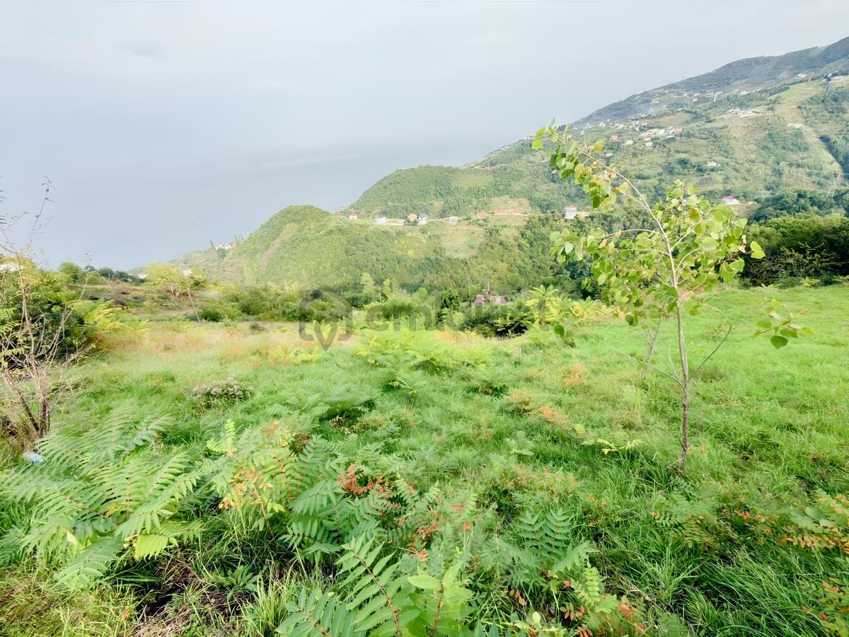 Trabzon Mersinde Deniz Manzaralı Arazi - 22