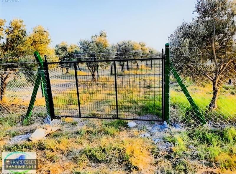 Dayıoğlunda Satılık Son Bahçe - 14
