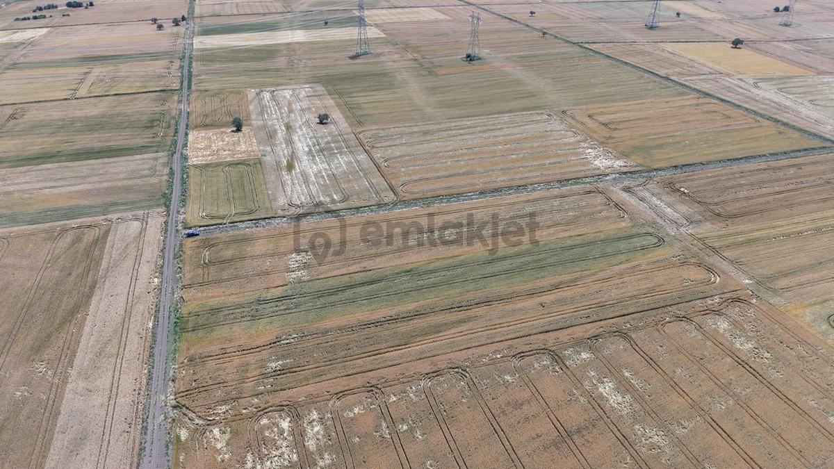 Pınarhisar Sütlüce Köyünde Satılık Tarla - 10