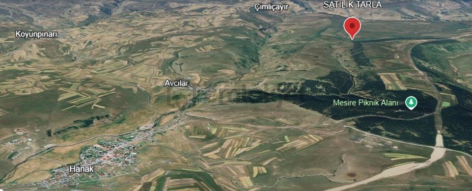 Ardahan Satılık Tarla Hanak İlçesi - 4