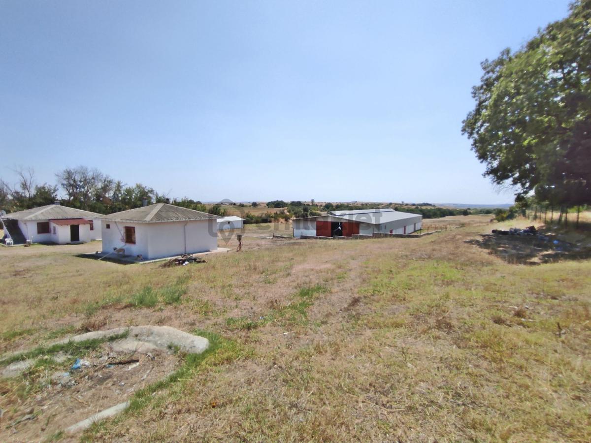 Edirne Uzunköprü Kurtbey De 18,509 M2-çiftlik - 6