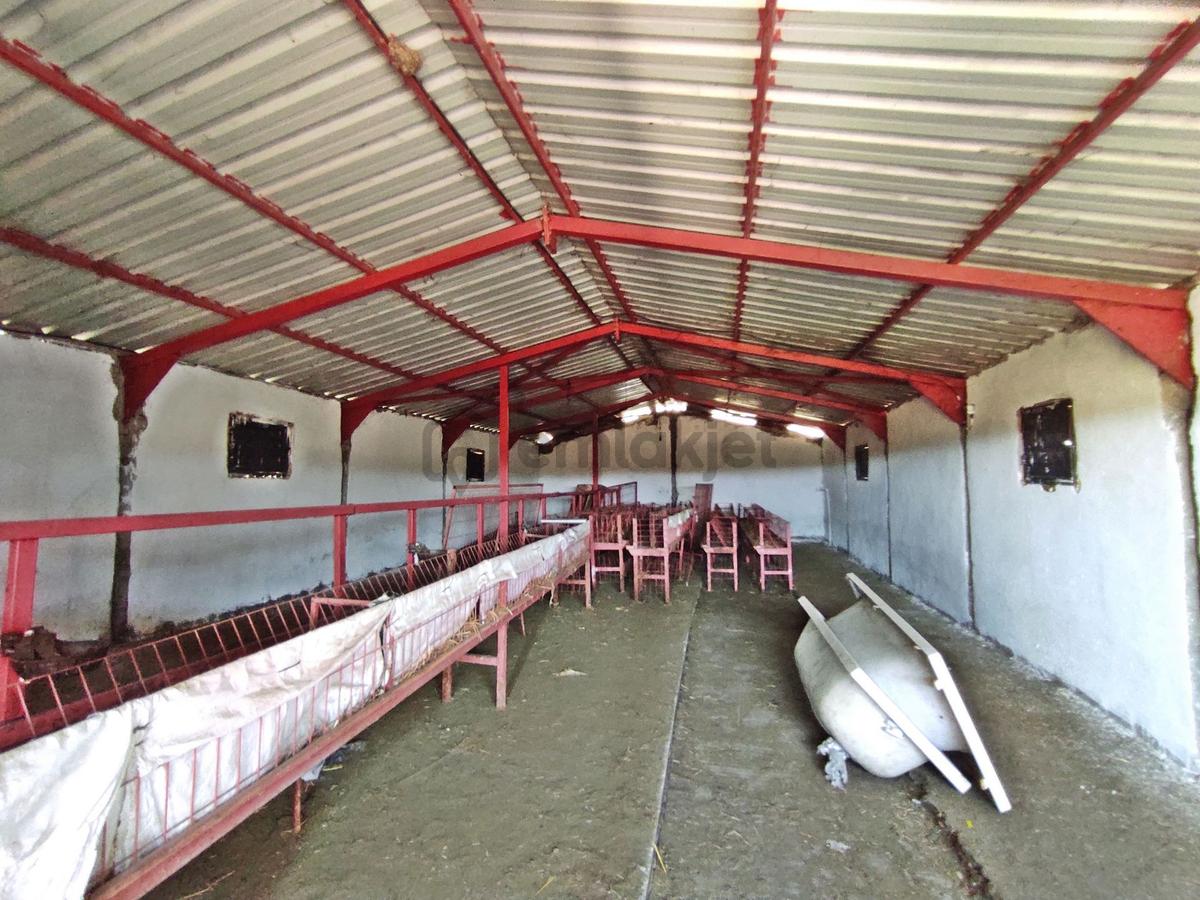 Edirne Uzunköprü Kurtbey De 18,509 M2-çiftlik - 8