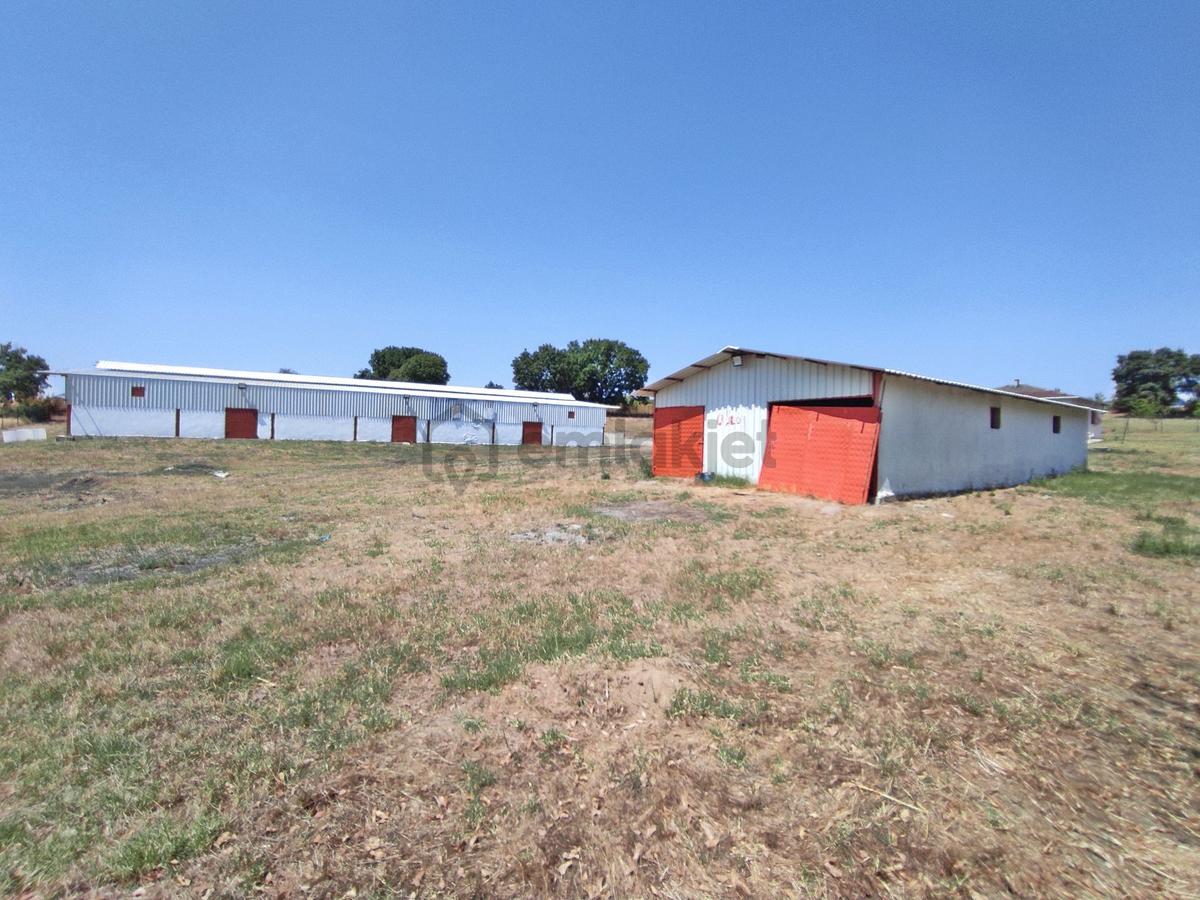 Edirne Uzunköprü Kurtbey De 18,509 M2-çiftlik - 10