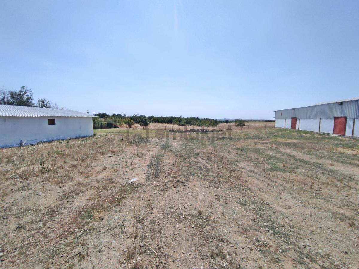 Edirne Uzunköprü Kurtbey De 18,509 M2-çiftlik - 16
