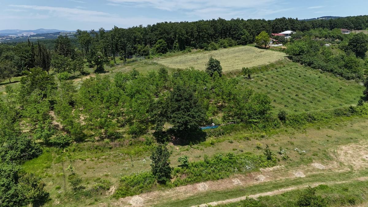 Cb-marktan İzmit Gediklide Satılık Köy İçi Tarla - 19