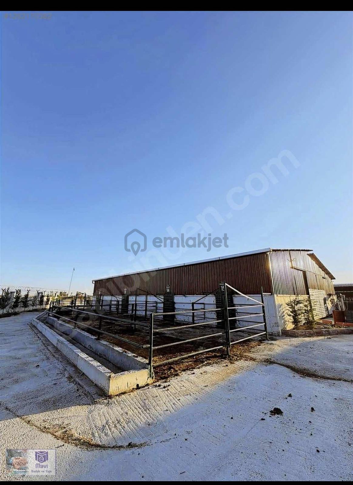 Arotol Bahçelı'de Satılık Çiftlik - 5