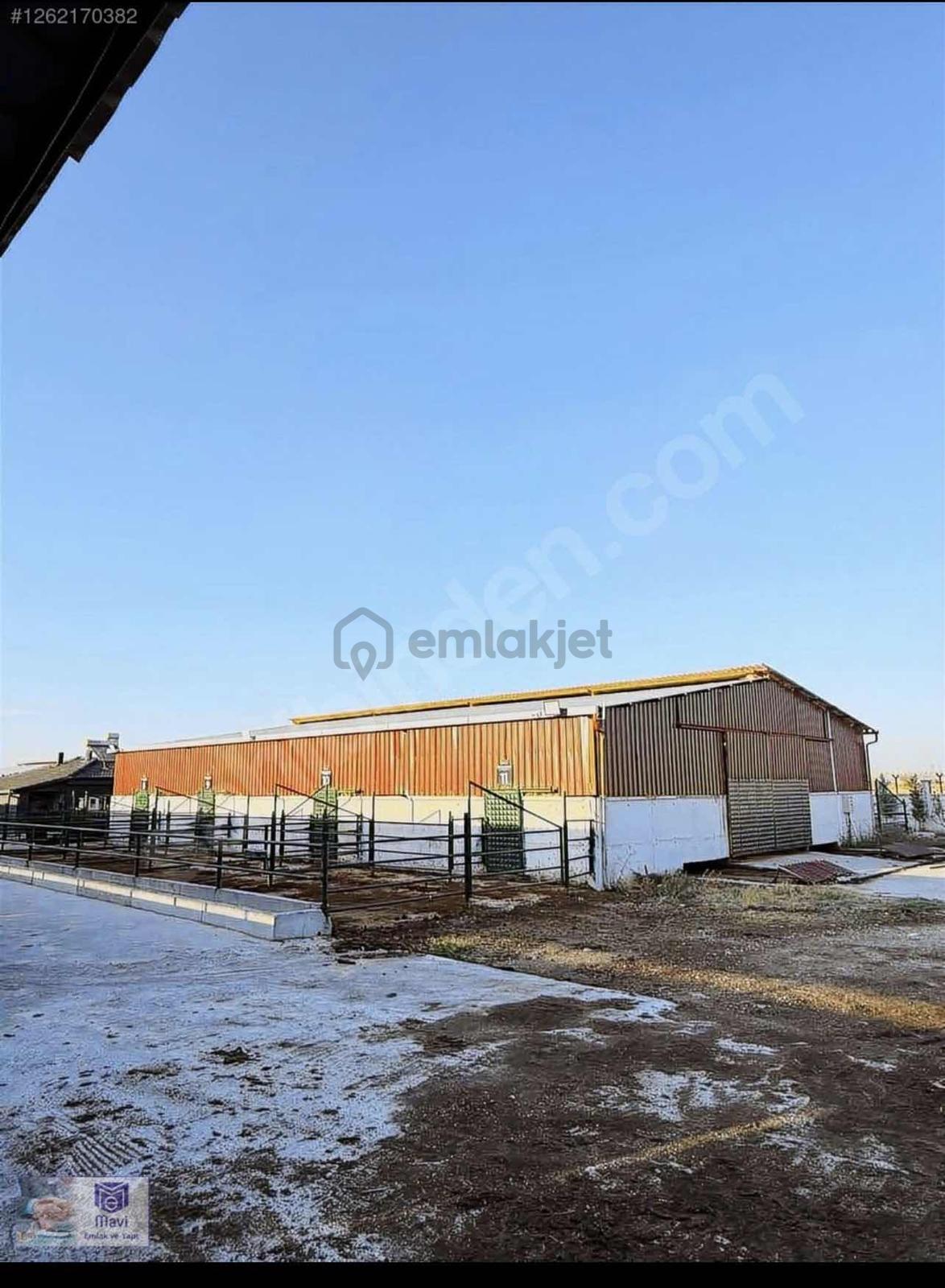 Arotol Bahçelı'de Satılık Çiftlik - 20