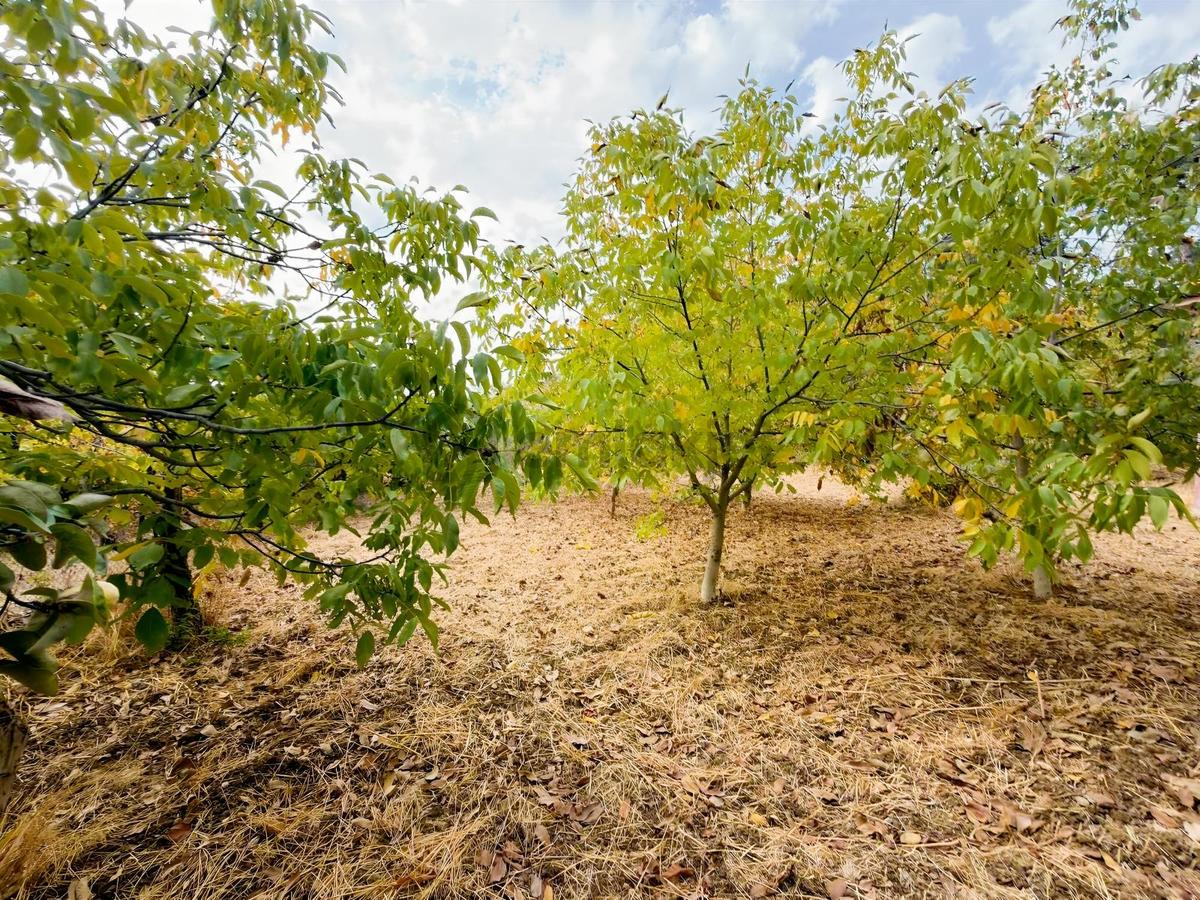 Berk Emlak'tan Torbalı Yeşilköyde Kiralık Müstakil Ev - 11