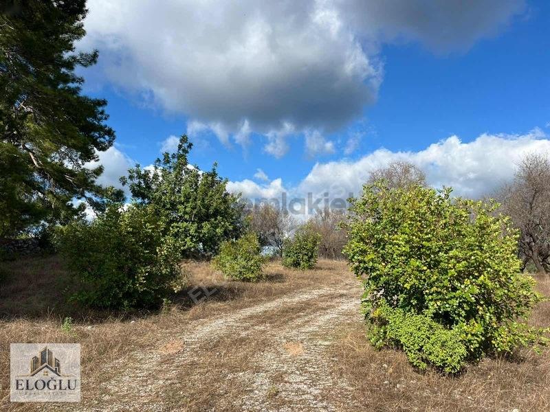 Karamanlarda Satılık 1.790 M2 Tarla - 16