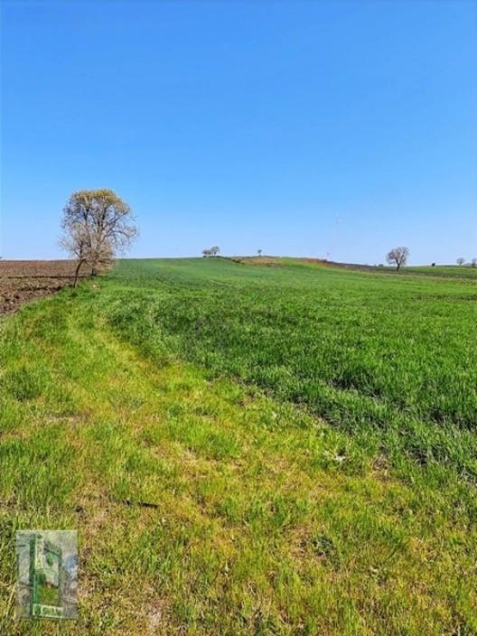 Şahlan Emlaktan 17500m2 Sulamada Satılık Arazi - 18