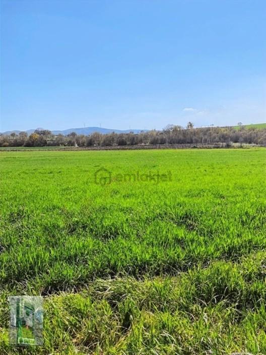 Şahlan Emlaktan 17500m2 Sulamada Satılık Arazi