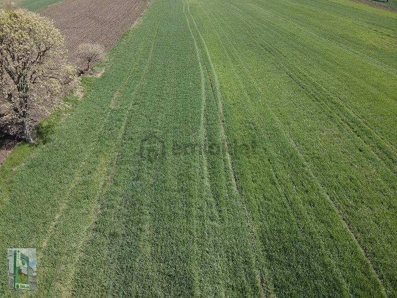 Şahlan Emlaktan 17500m2 Sulamada Satılık Arazi - 26