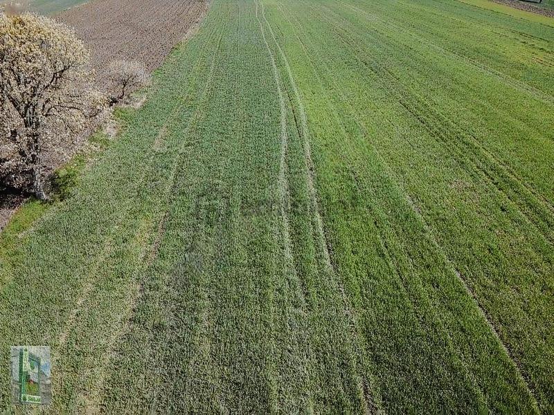 Şahlan Emlaktan 17500m2 Sulamada Satılık Arazi - 12