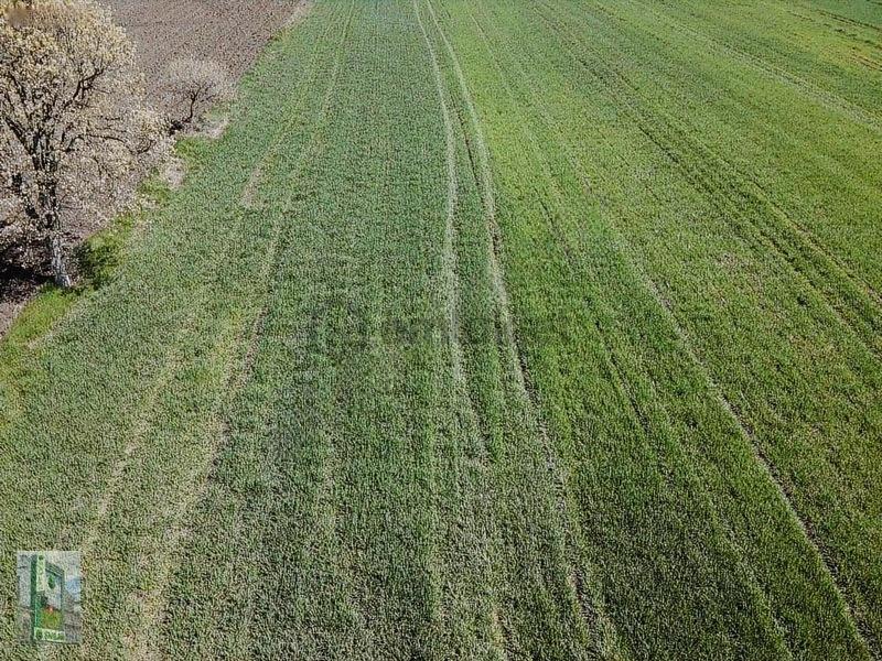 Şahlan Emlaktan 17500m2 Sulamada Satılık Arazi - 19