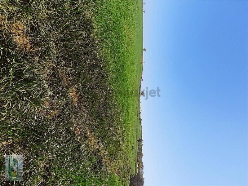 Şahlan Emlaktan 17500m2 Sulamada Satılık Arazi - 6