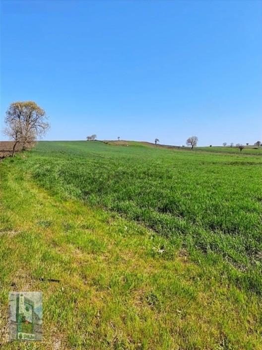 Şahlan Emlaktan 17500m2 Sulamada Satılık Arazi - 16