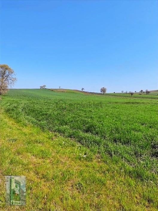 Şahlan Emlaktan 17500m2 Sulamada Satılık Arazi - 13