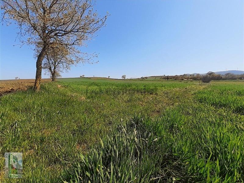 Şahlan Emlaktan 17500m2 Sulamada Satılık Arazi - 8