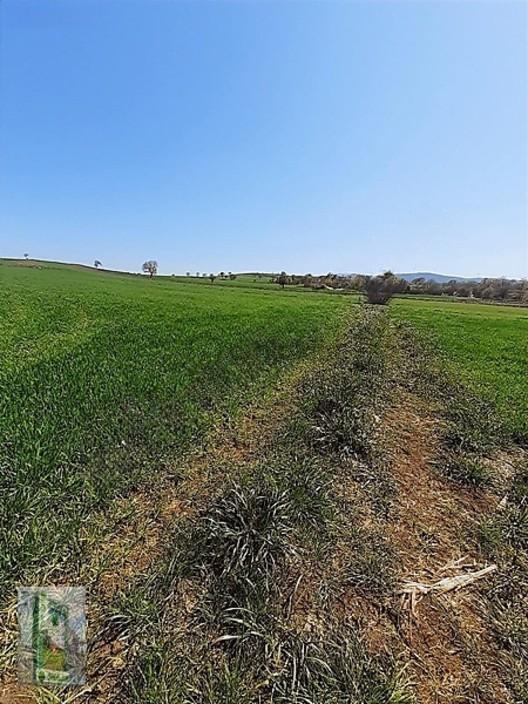Şahlan Emlaktan 17500m2 Sulamada Satılık Arazi - 4