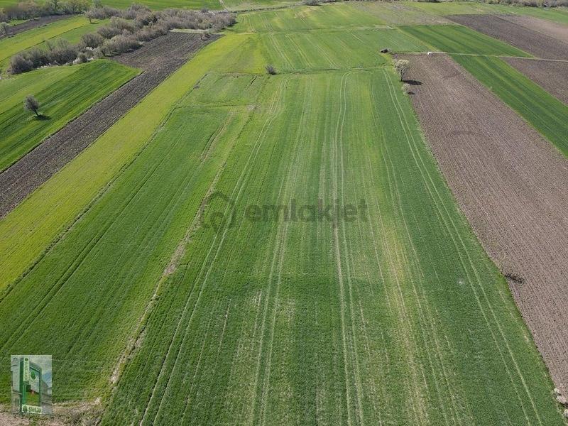 Şahlan Emlaktan 17500m2 Sulamada Satılık Arazi - 34